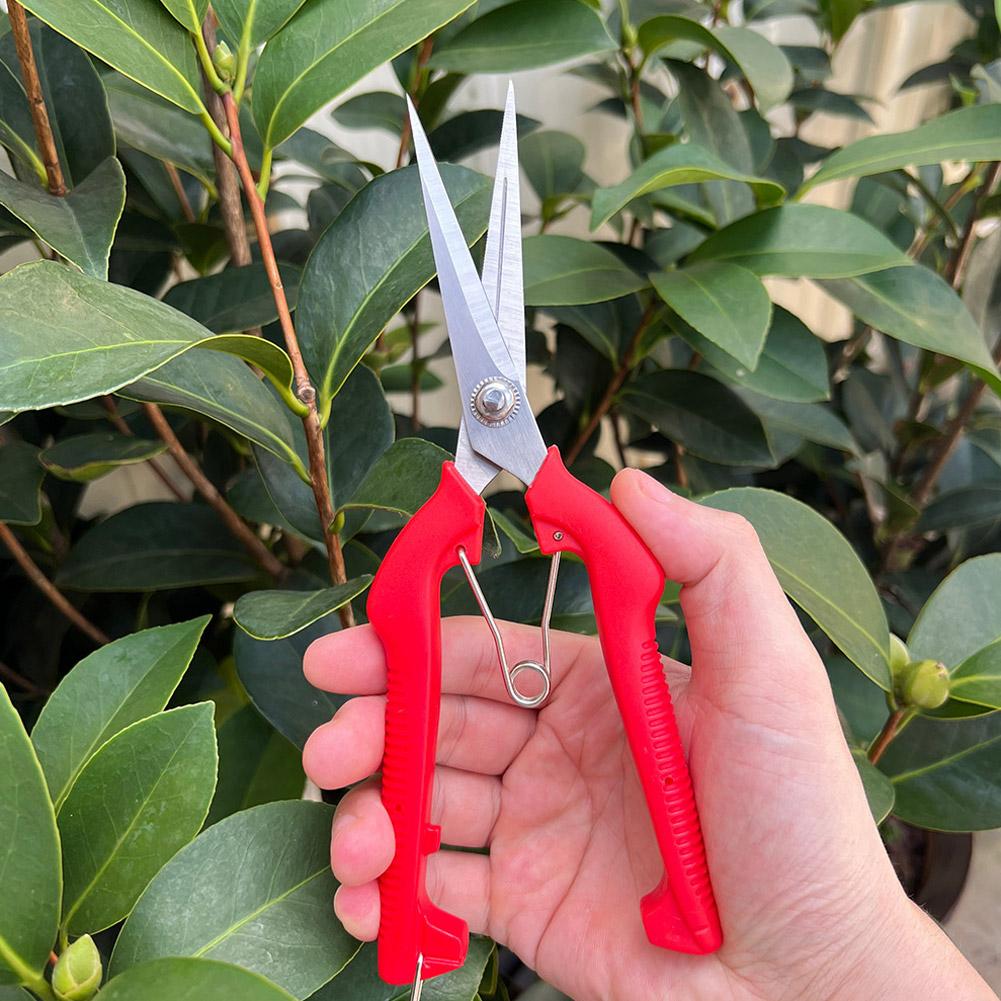Bonsai Garden Tools - Sécateur de jardin professionnel allongé pour