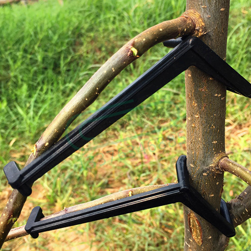 Bonsai Garden Tools - Clips pour arbres fruitiers, Support de