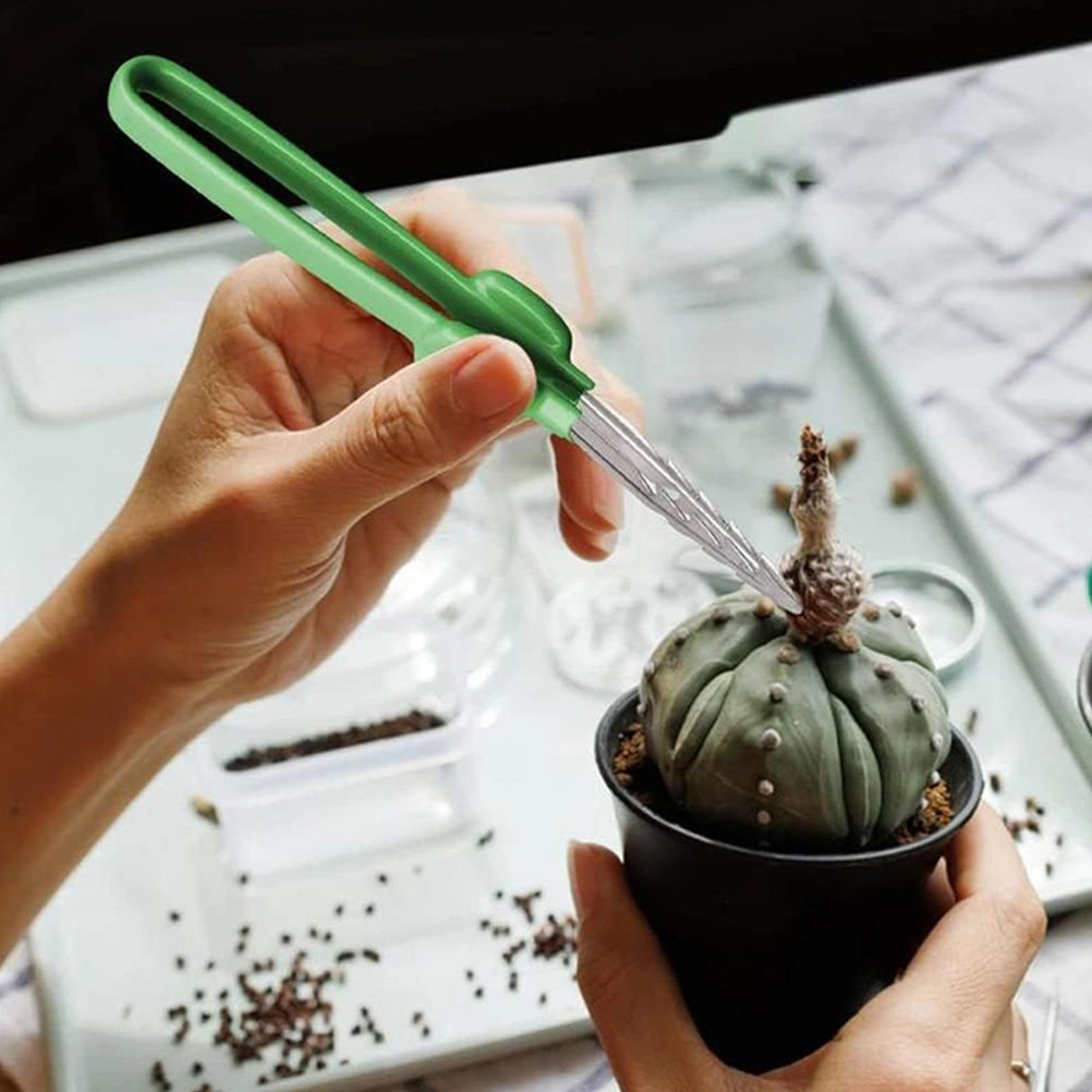 Bonsai Garden Knife - Pince de jardinage professionnelle pour la