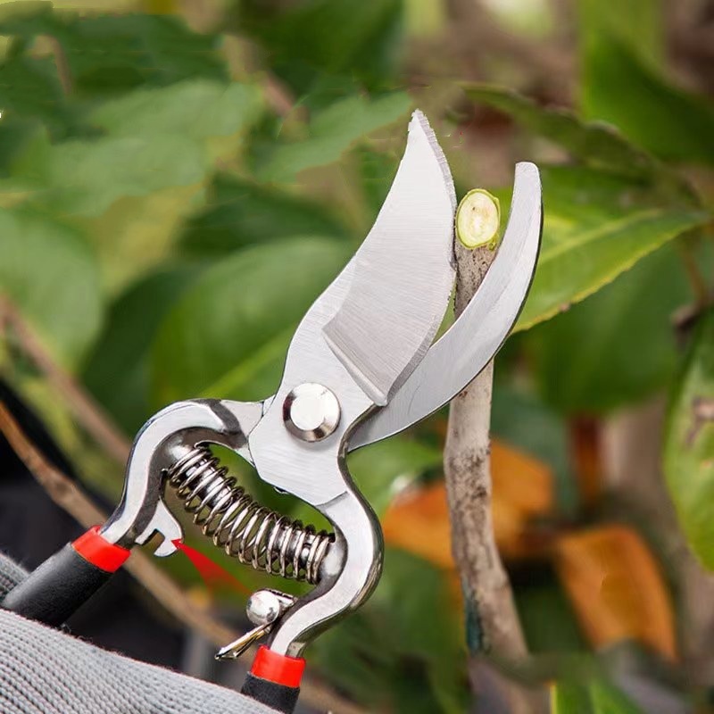 Ciseaux de jardinage, outils d - Bonsai Garden Knife avis et prix