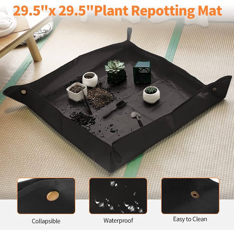 Kit d'outils de jardinage mult - Concave Branch Cutter avis et prix