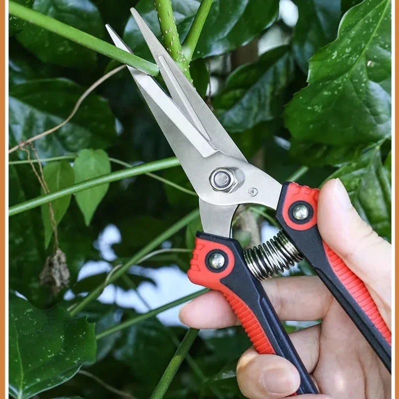 Cisailles de jardinage NEWSHAR - Bonsai Garden Knife avis et prix