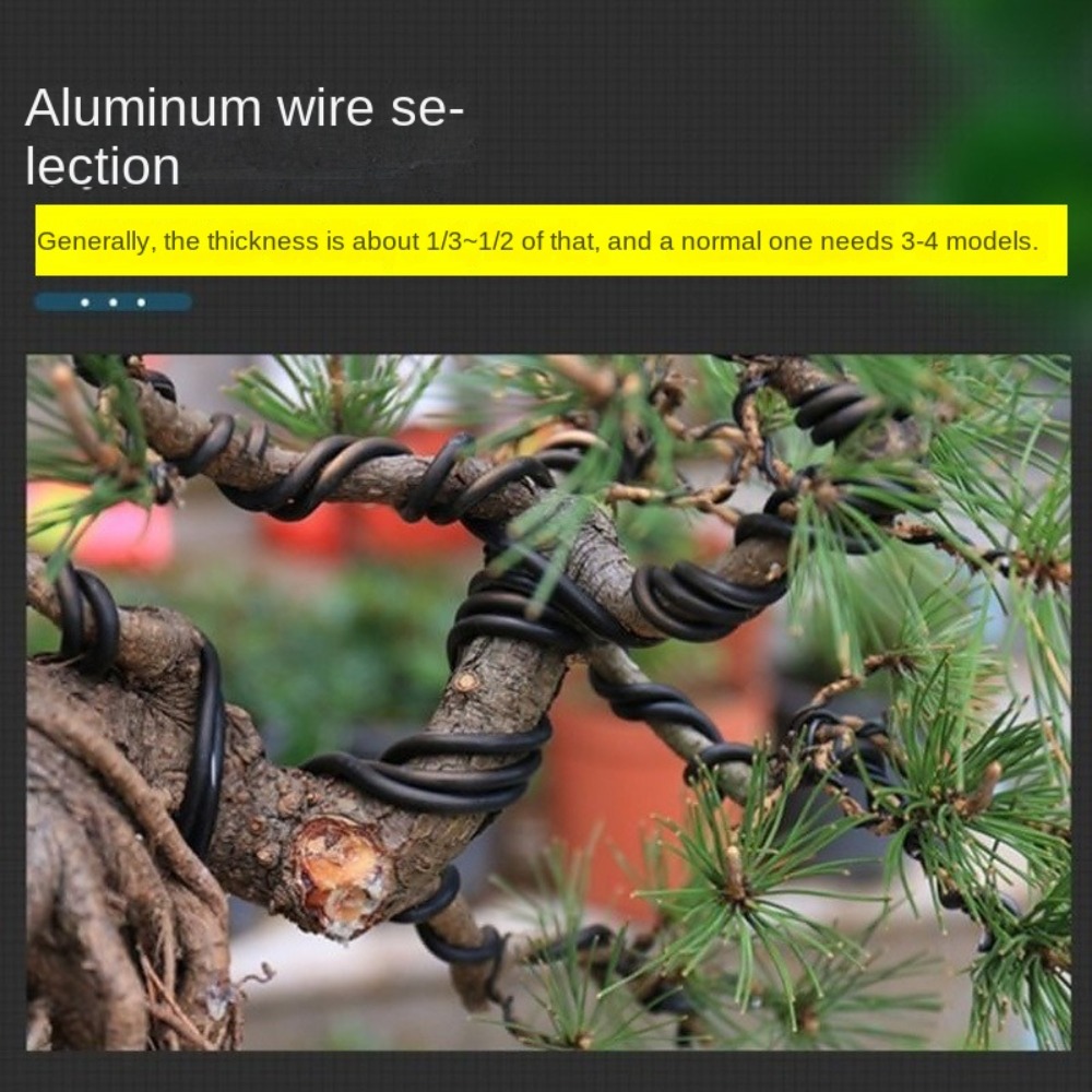 Fil d'aluminium pour bonsaï, f - Bonsai Garden Tools avis et prix