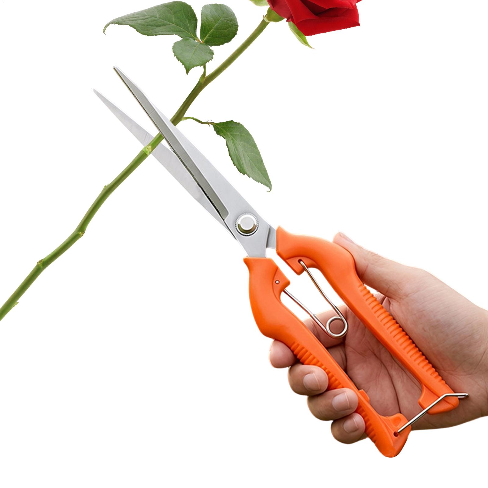 Sécateur professionnel en acie - Bonsai Garden Knife avis et prix