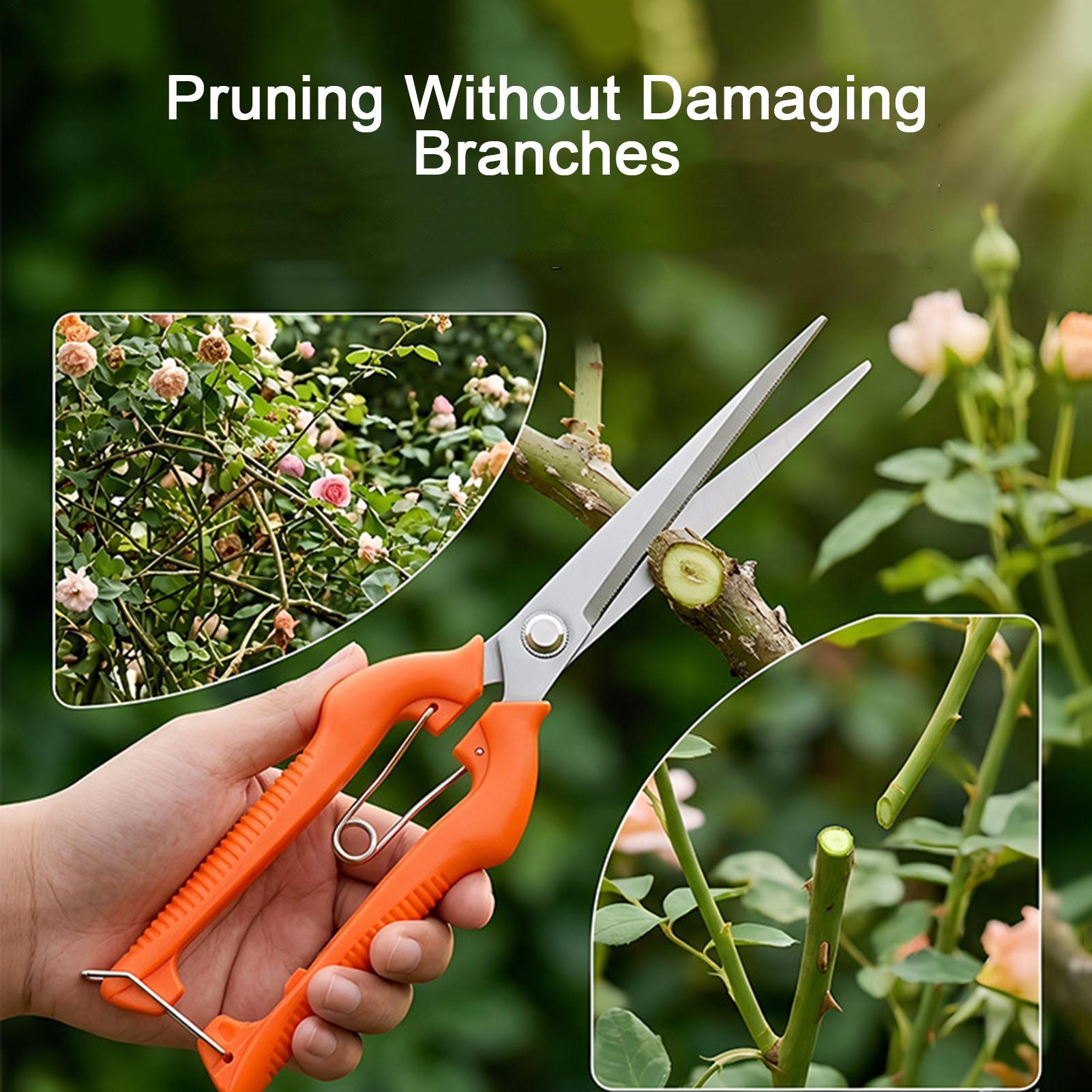 Sécateur professionnel en acie - Bonsai Garden Knife avis et prix