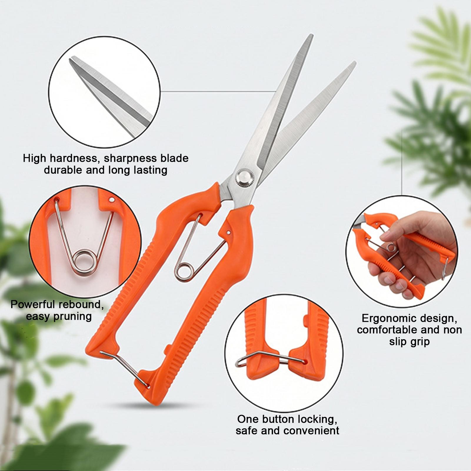Sécateur professionnel en acie - Bonsai Garden Knife avis et prix