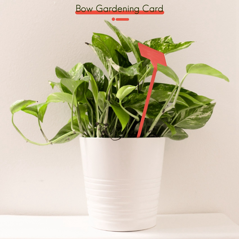 ABYP Outils de plantation de j - Bonsai Garden Tools avis et prix