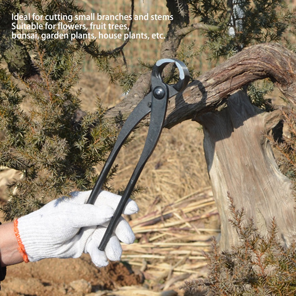Coupe-branches professionnel e - Concave Branch Cutter avis et prix