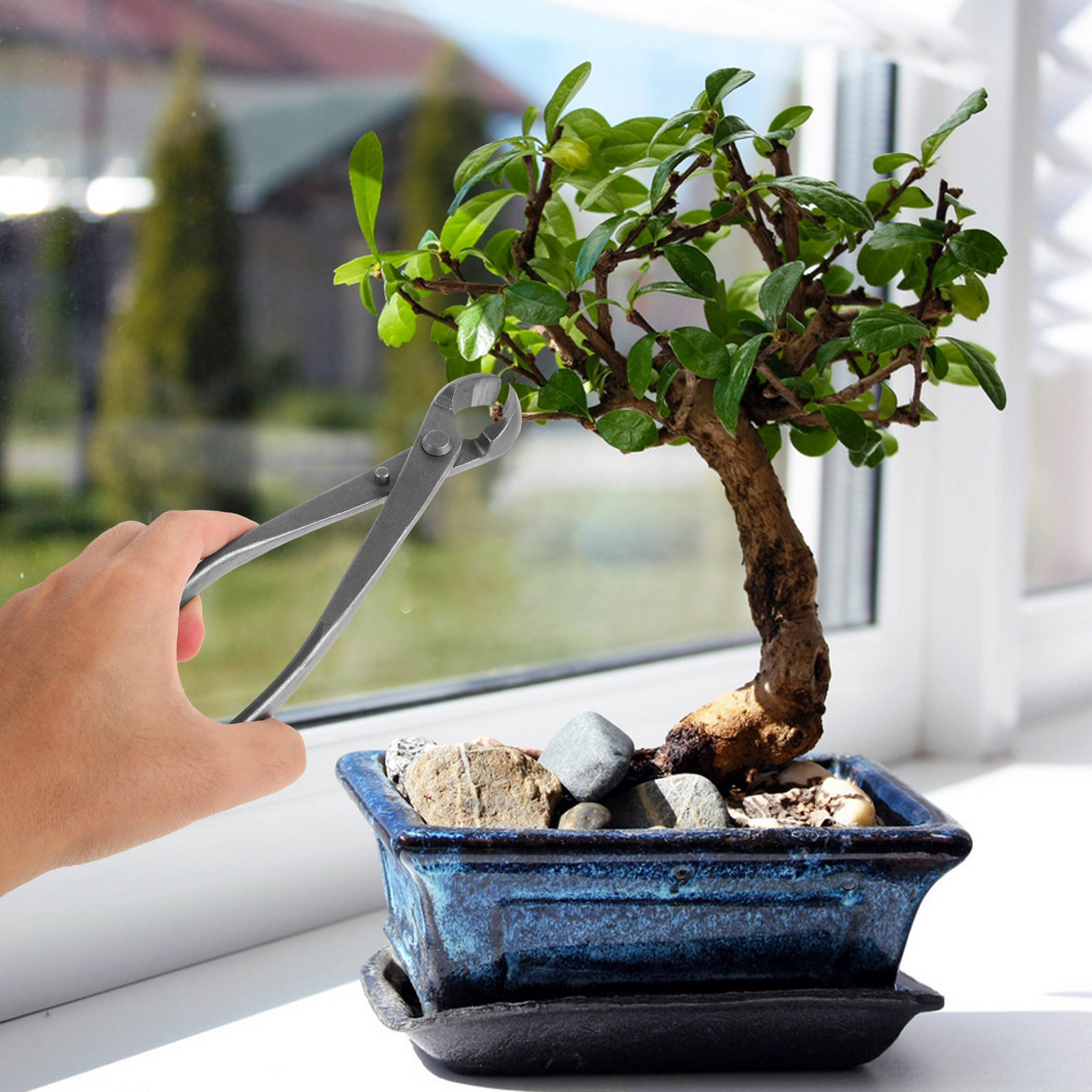 Cisailles à haie en acier au c - Bonsai Garden Knife avis et prix