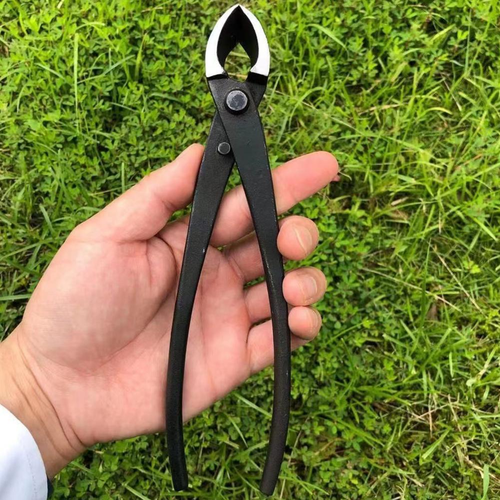 Coupe-branches Concave pour bo - Concave Branch Cutter avis et prix