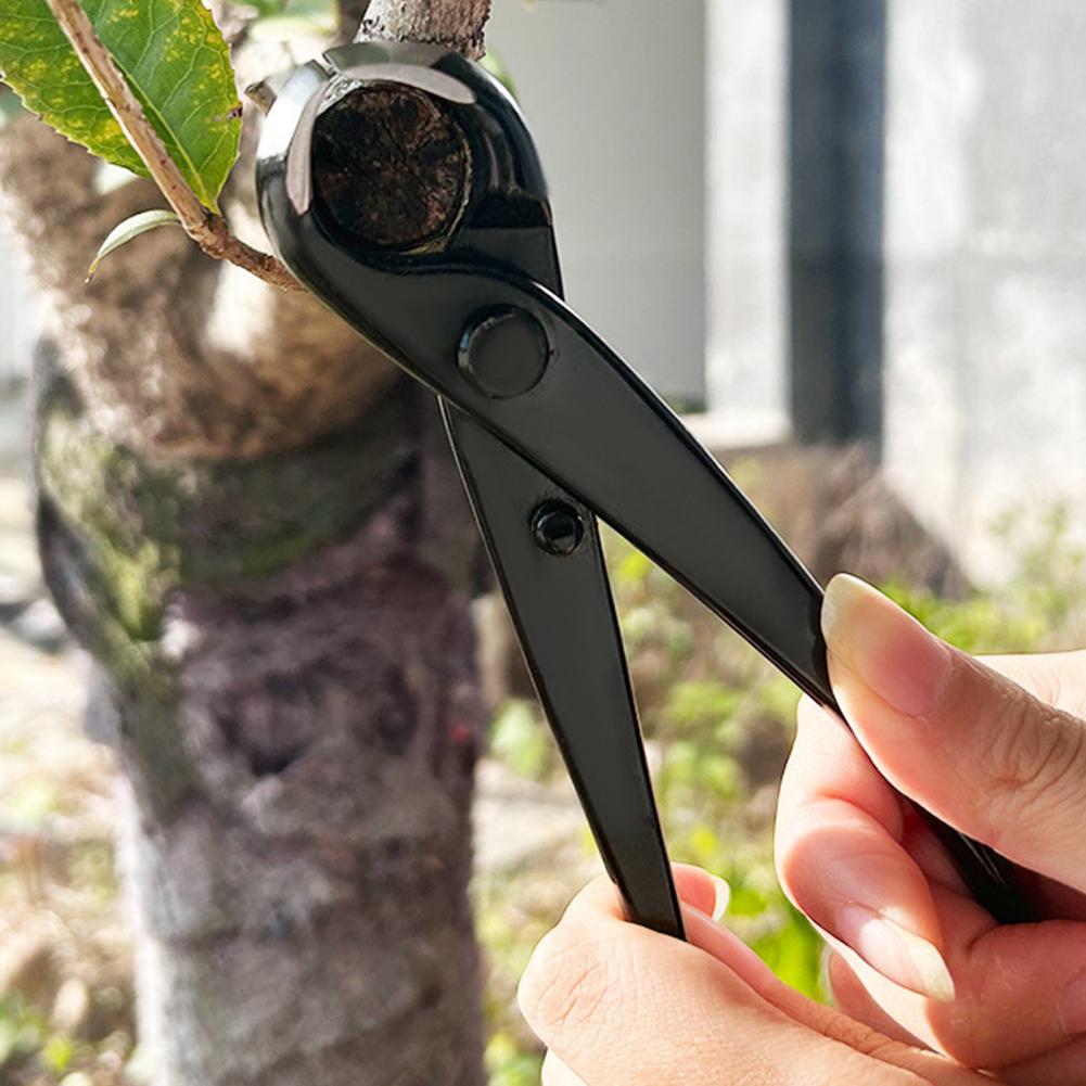 Coupe-branches Concave pour bo - Concave Branch Cutter avis et prix