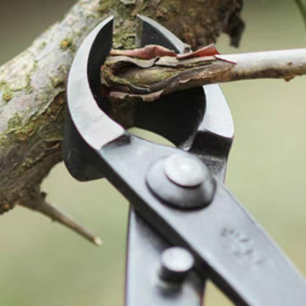 Coupe-branches Concave pour bo - Concave Branch Cutter avis et prix