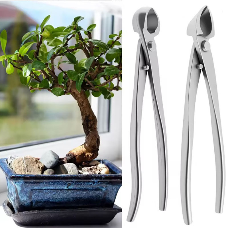 Kit d'outils pour bonsaï en ac - Concave Branch Cutter avis et prix