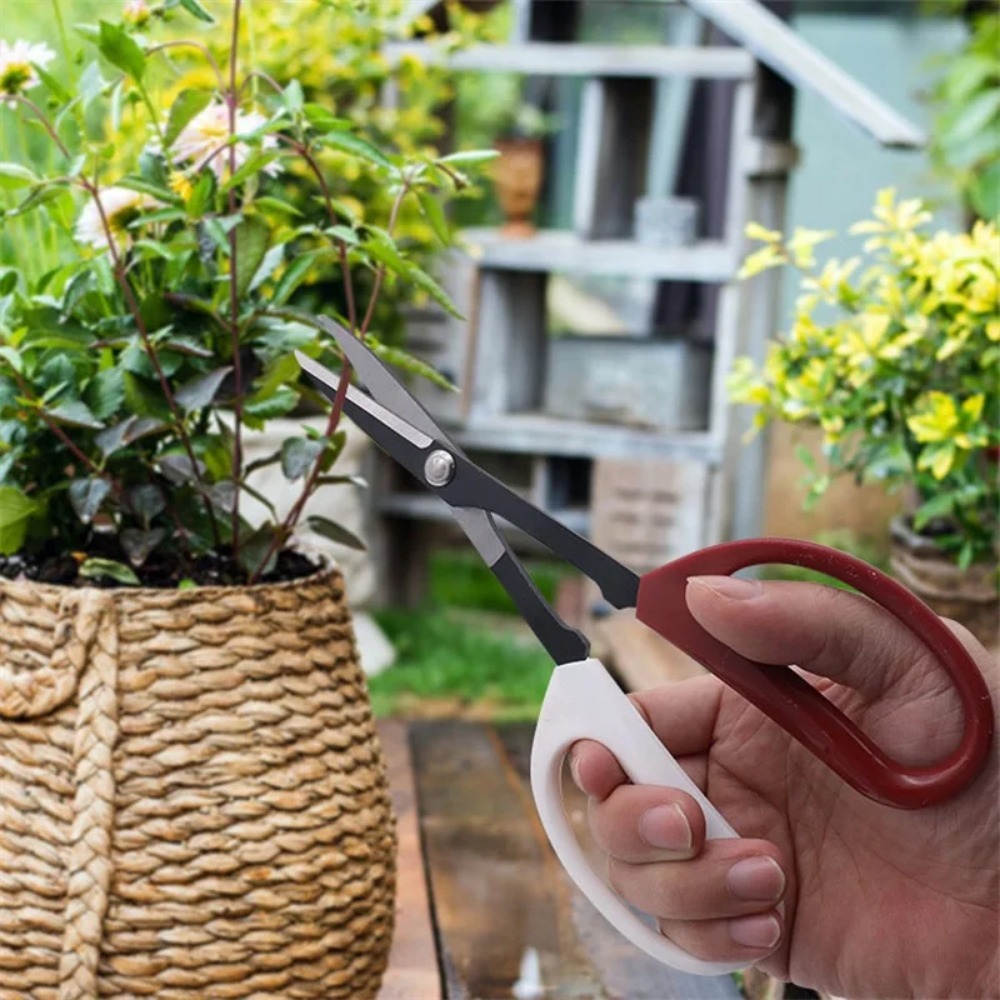 Ciseaux à bonsaï à long manche - Bonsai Garden Knife avis et prix