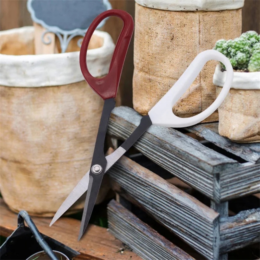Ciseaux à bonsaï à long manche - Bonsai Garden Knife avis et prix