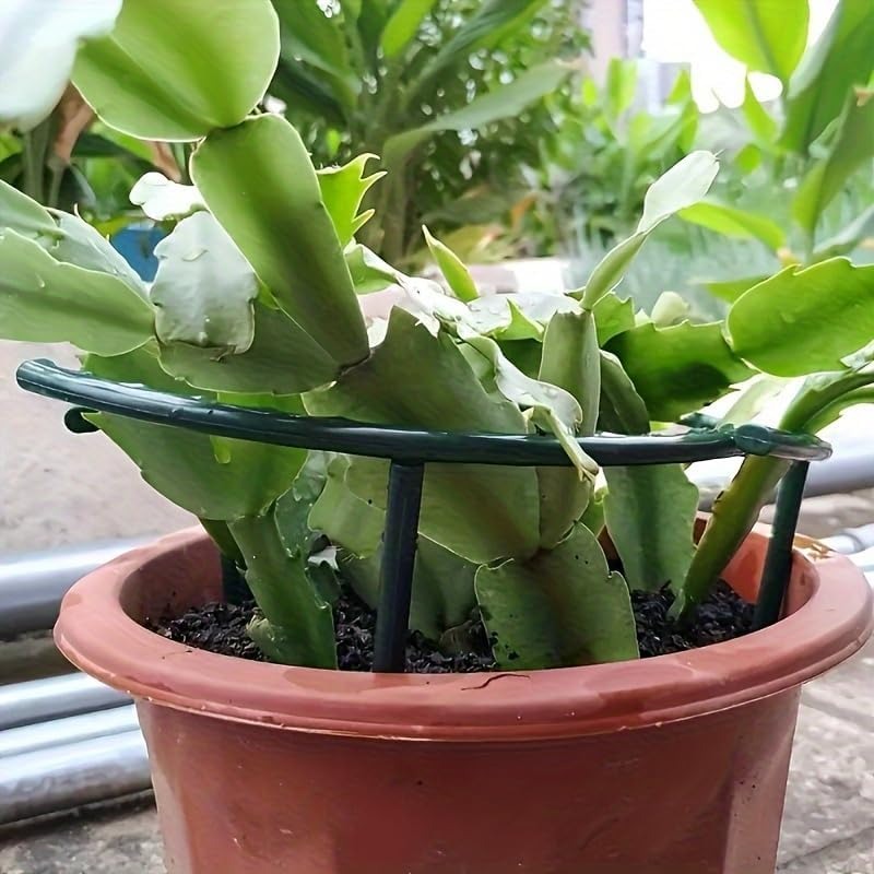 Support de plante en plastique - Bonsai Garden Tools avis et prix