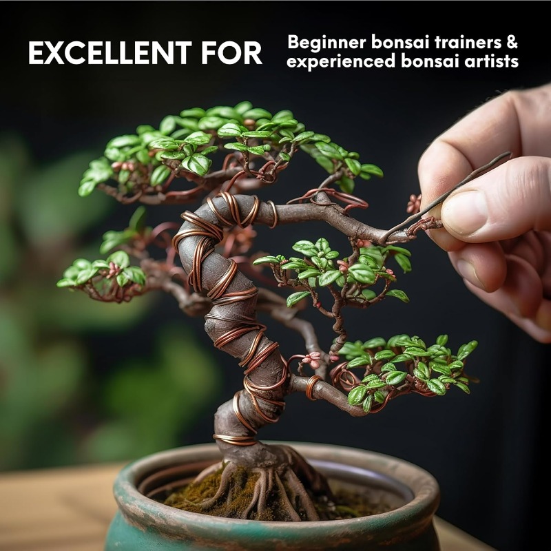 Kit de fil de formation pour b - Bonsai Garden Tools avis et prix