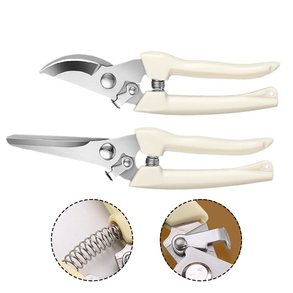 Sécateur en acier inoxydable p - Bonsai Garden Knife avis et prix