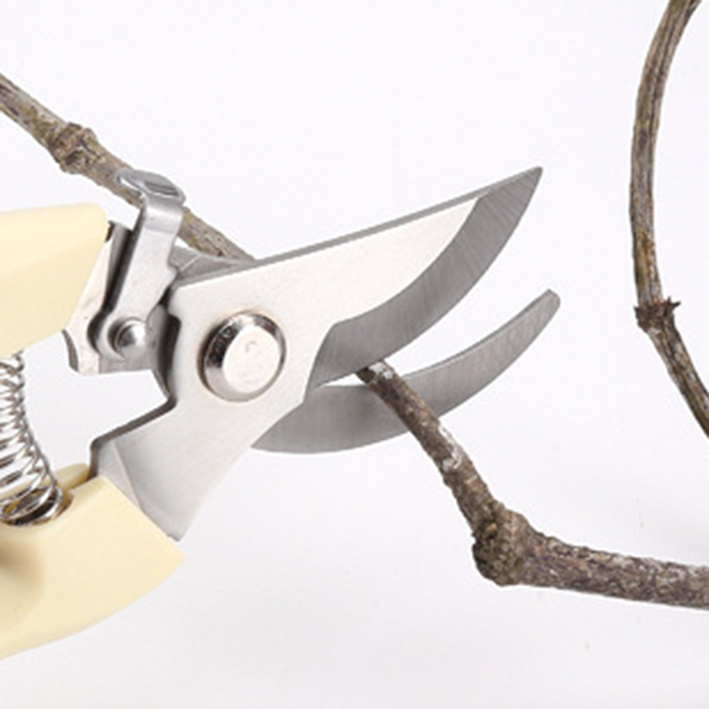 Sécateur en acier inoxydable p - Bonsai Garden Knife avis et prix