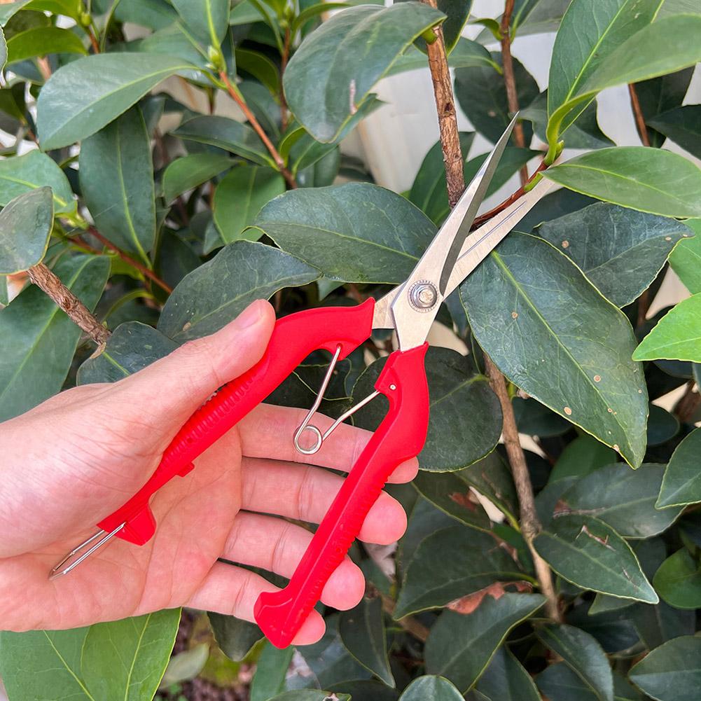 Sécateur de jardin professionn - Bonsai Garden Tools avis et prix