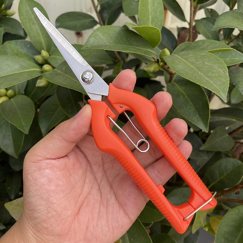 Sécateur de jardin professionn - Bonsai Garden Tools avis et prix