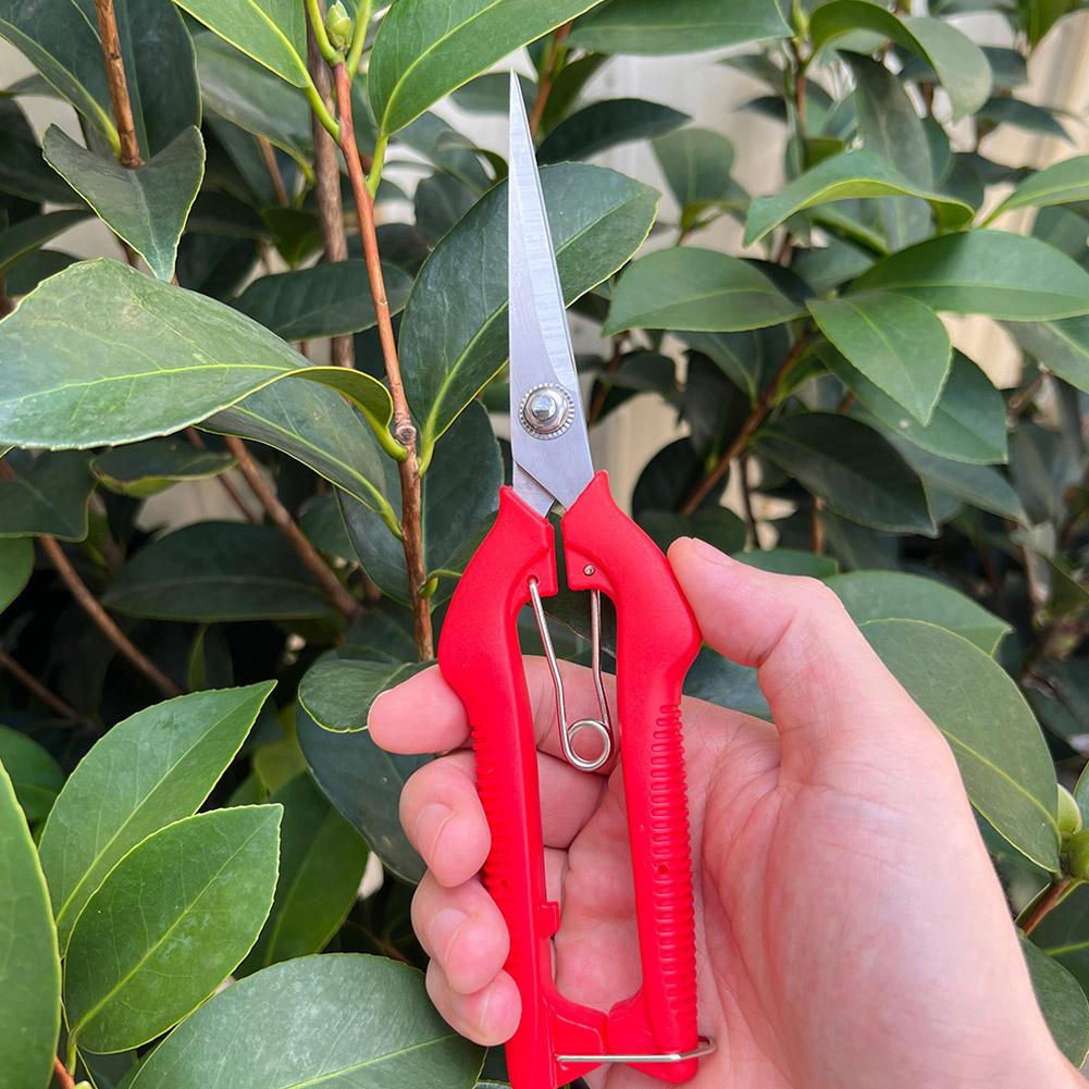 Sécateur de jardin professionn - Bonsai Garden Tools avis et prix
