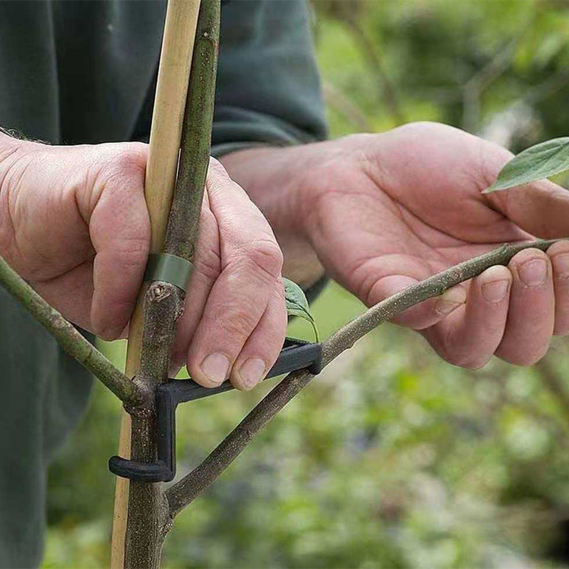 Clips pour arbres fruitiers, S - Bonsai Garden Tools avis et prix