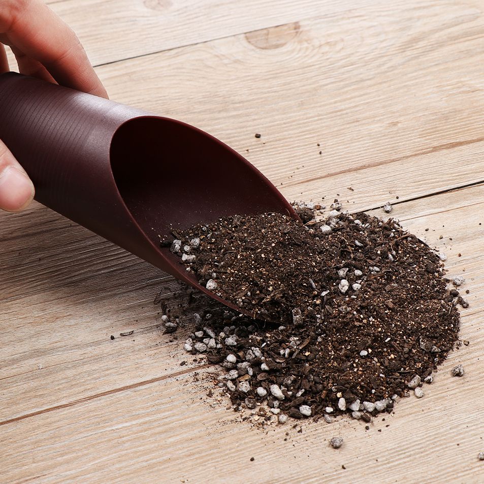 Tasse de pelle à sol en plasti - Bonsai Garden Tools avis et prix